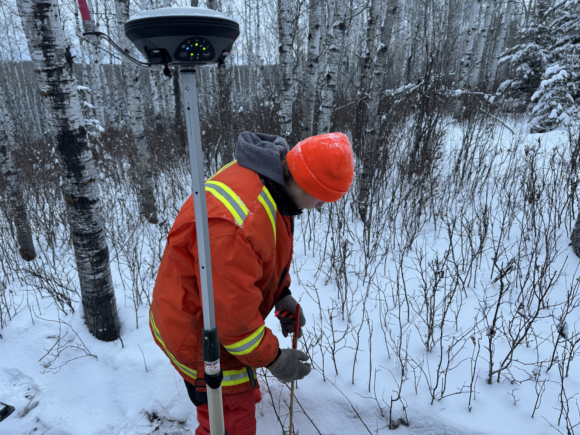 GNSS rover in a winter birch forest