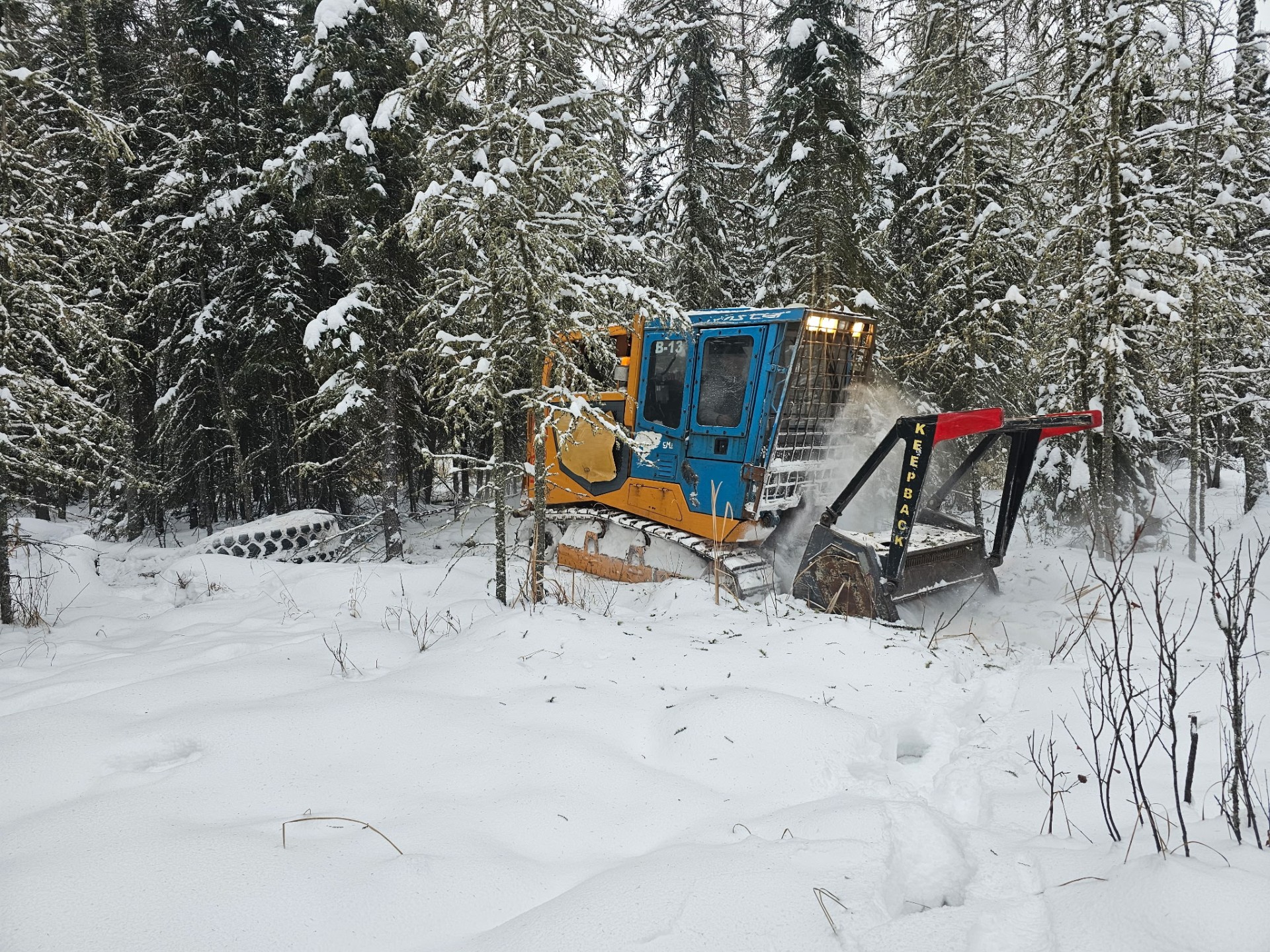 Cleared seismic corridor through forest