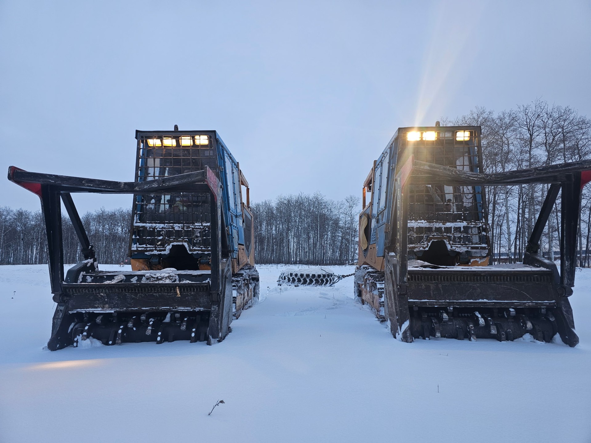 Track-mounted mulcher processing standing timber