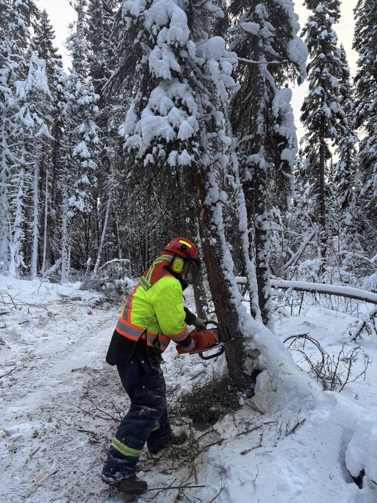 Slashing crew refining a cleared line