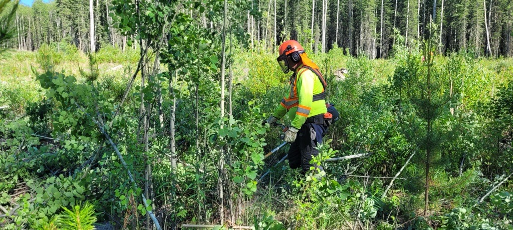 Vegetation Management field operations